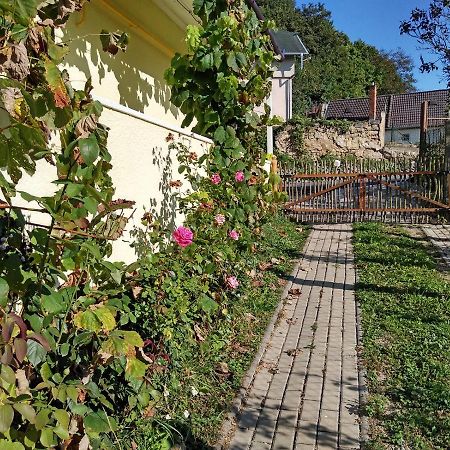 Lately Renovated Country House Trenčín Exterior foto