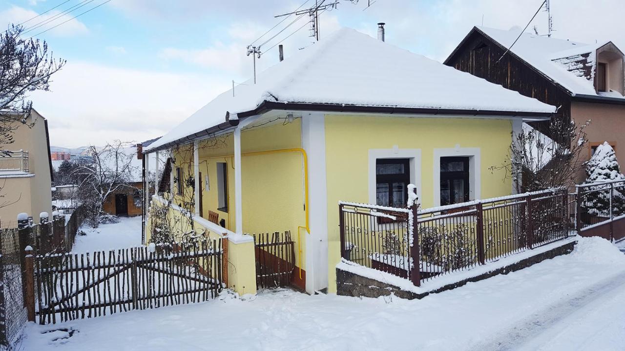 Lately Renovated Country House Trenčín Exterior foto